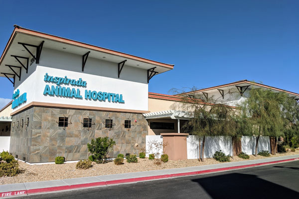 A cat discount hospital las vegas